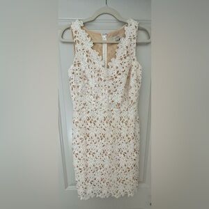 Loft Lace Dress- Size 2